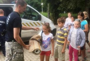 Rendőrkutya a nagyhegyesi nyári táborban