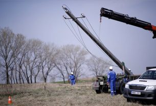 Földkábelbe helyezték a villamos szabadvezetéket Kunpeszérnél a túzok védelme érdekében