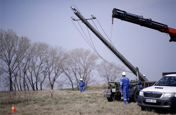 Földkábelbe helyezték a villamos szabadvezetéket Kunpeszérnél a túzok védelme érdekében