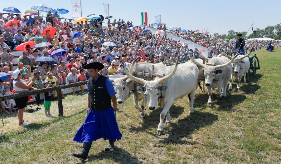 Hortobágyi Lovasnapok