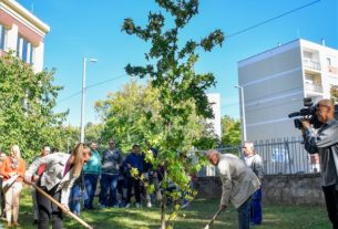 Faültetési akciót indított a görögkatolikus metropólia