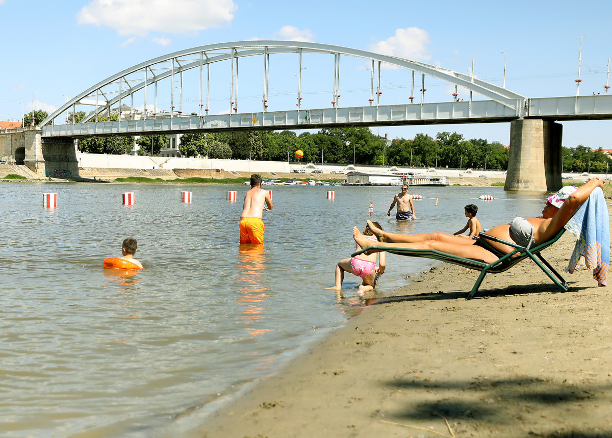 Kánikula a szegedi Laposon, a Tisza partján