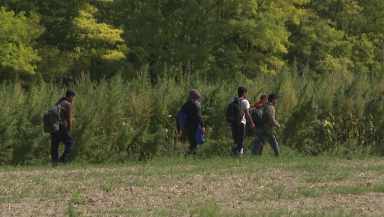 Migránsok a szabadkai erdőben