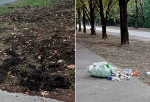 Vaddisznótúrás Debrecenben a Nagyerdei körúton