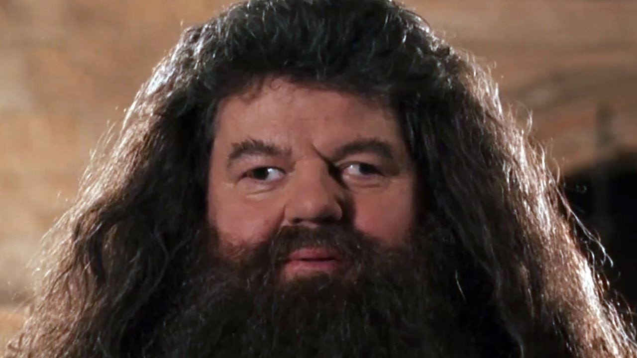 Robbie Coltrane Hagrid