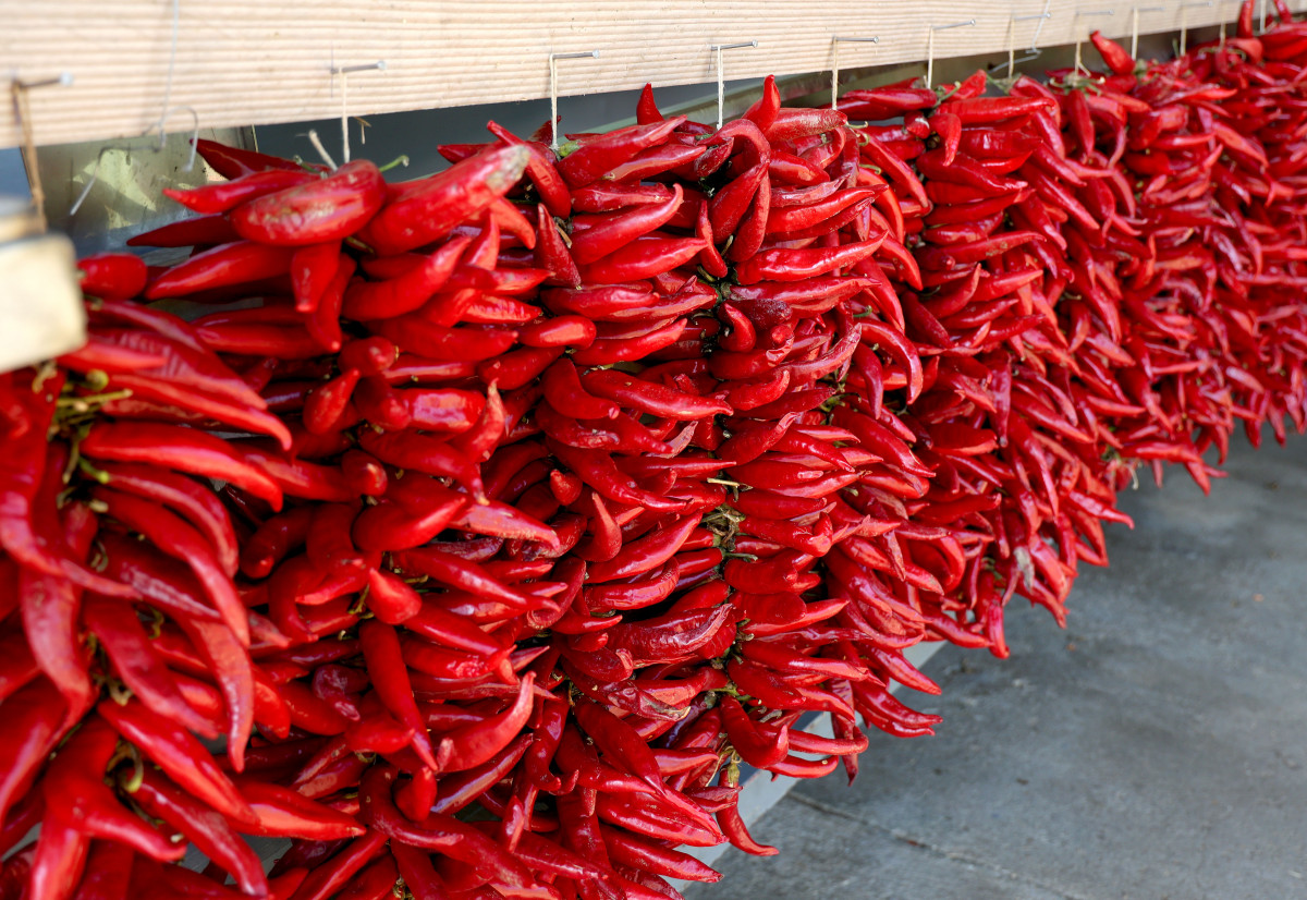 fűszerpaprika, gazdaság