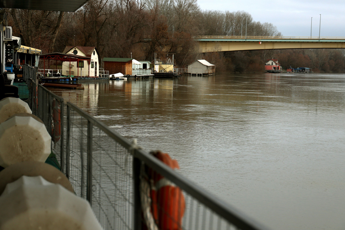 Tisza vízszint