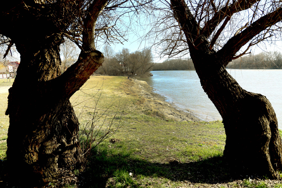 Szeged, Tisza, Sárga üdülő, szabadstrand, strand