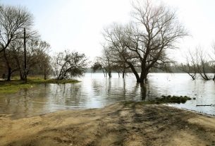 Szeged, Tisza, árad, kiönt, víz, folyó, ártér