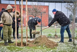 Új fák kerültek a földbe a Lencztelepen