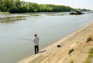 Szeged, Tisza, horgász, folyó, víz, természet