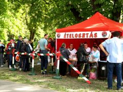 Szeged, Boldogságfalva, ételosztás, ingyen ebéd, szegénység, rászorulók, liget