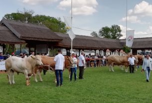 Alföldi Állattenyésztési és Mezőgazda Napok