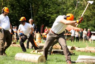 Szeged, Fakitermelő Verseny, favágó, STIHL, liget