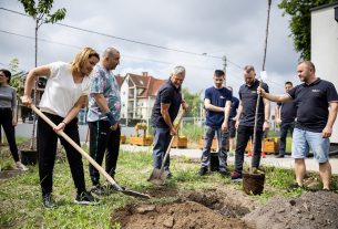 Széles Diána fát ültet