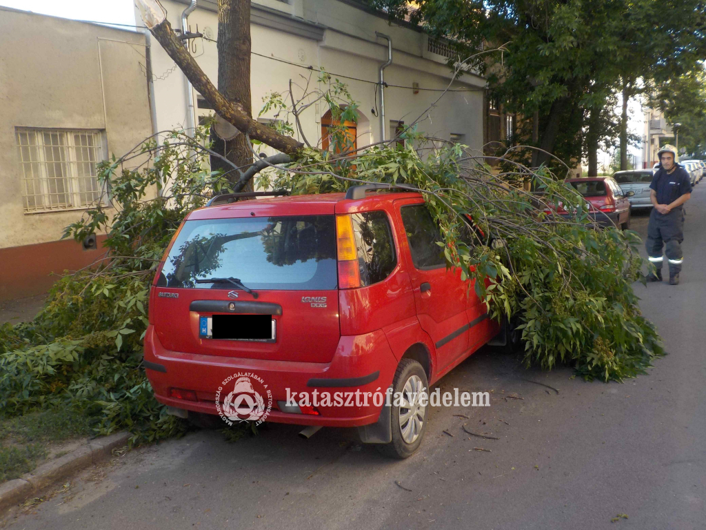 Autóra hasadt egy faág Debrecenben