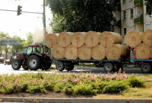 Szeged, szalmabála, traktor, szállítás, mezőgazdaság, betakarítás