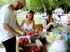 Szeged, lecsófőző verseny, lecsó, újszegedi liget