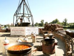 Szeged, Nemzetközi Tiszai Halfesztivál, Halfesztivál, hal, rakpart, Partfürdő, paprika, ejtőernyős, gasztronómia, turizmus