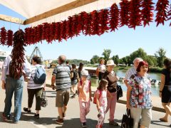 Szeged, Nemzetközi Tiszai Halfesztivál, Halfesztivál, hal, rakpart, Partfürdő, paprika, ejtőernyős, gasztronómia, turizmus