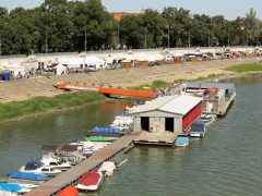 Szeged, Nemzetközi Tiszai Halfesztivál, Halfesztivál, hal, rakpart, Partfürdő, paprika, ejtőernyős, gasztronómia, turizmus