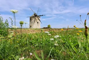 Tés, tési szélmalmok, szélmalom, Helt és Ozi-szélmalmok, hagyomány, turizmus, látnivaló, Balaton