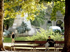 Szeged, Széchenyi tér, ősz, Időjárás, park, természet, napsütés