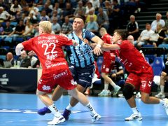 Szeged, OTP Bank Pick Szeged, Aalborg Handbold, kézilabda, Bajnokok Ligája, mérkőzés, Pick Aréna, sport