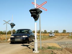 Szeged, személyszállítás, Szeged-Szabadka, vasútvonalon, vonat, közlekedés, vasút, MÁV, sín, Szentmihálytelek, megálló, zajvédő fal, építkezés