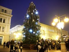 Szeged, gólyalábasok, ünnepi fény, Dóm tér, adventi vásár, Kárász utca, díszkivilágítás, Dugonics tér, fényvillamos