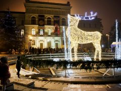 Szeged, gólyalábasok, ünnepi fény, Dóm tér, adventi vásár, Kárász utca, díszkivilágítás, Dugonics tér, fényvillamos