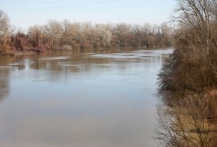 Algyő, Tisza, folyó, természet