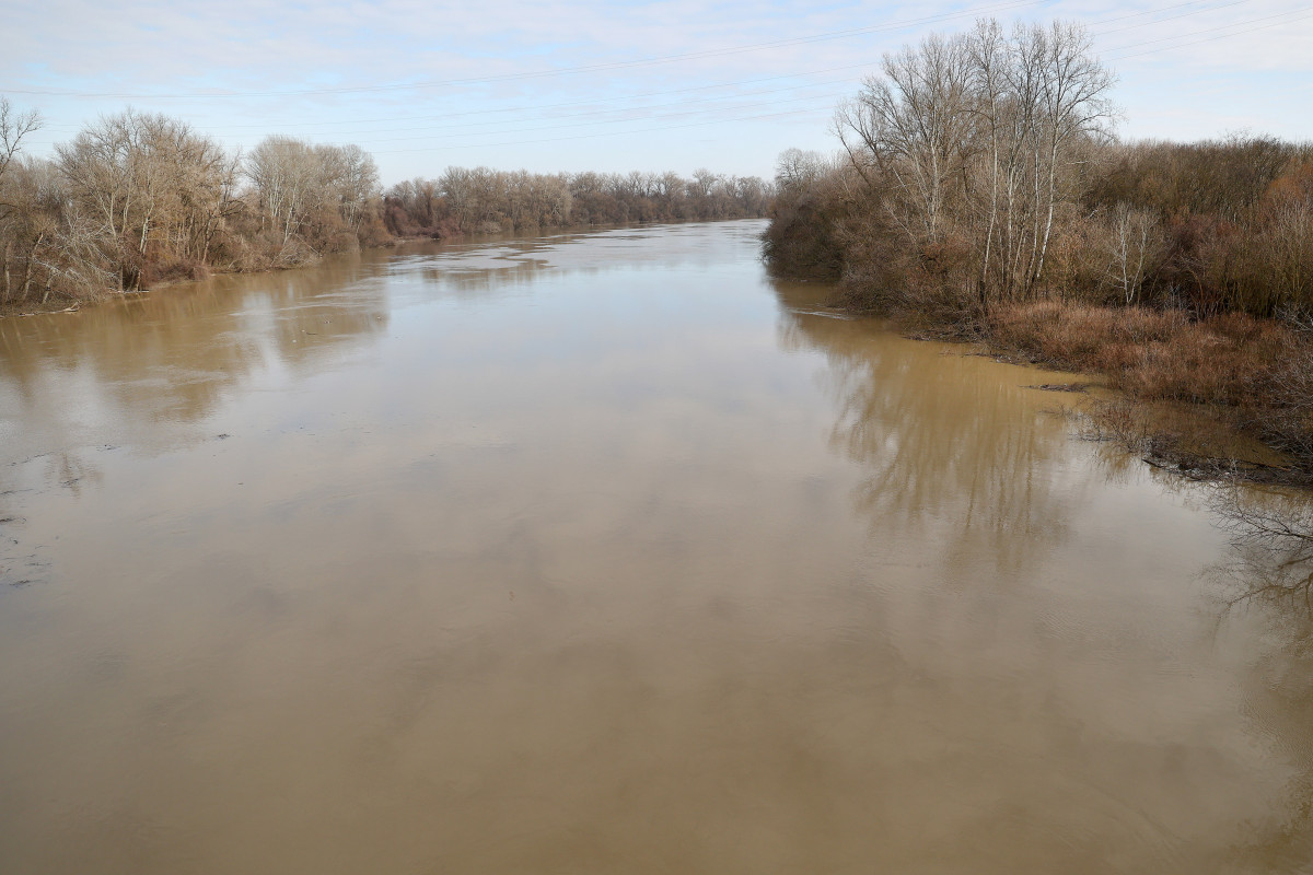 Algyő, Tisza, folyó, természet