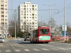 Szeged, Szegedi Vízmű, Etelka sor, trolimegálló