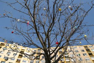 Szeged, Vér-tó, tojásfa, díszítés, tojás