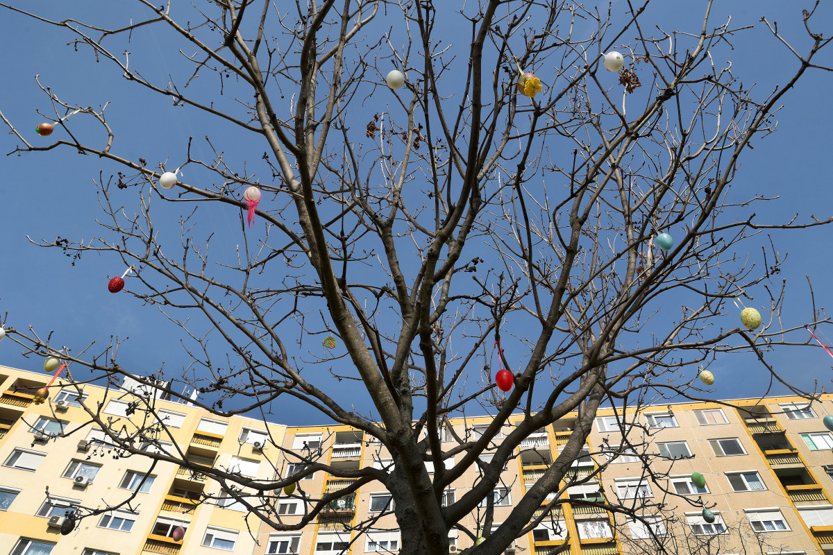 Szeged, Vér-tó, tojásfa, díszítés, tojás