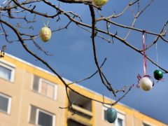 Szeged, Vér-tó, tojásfa, díszítés, tojás