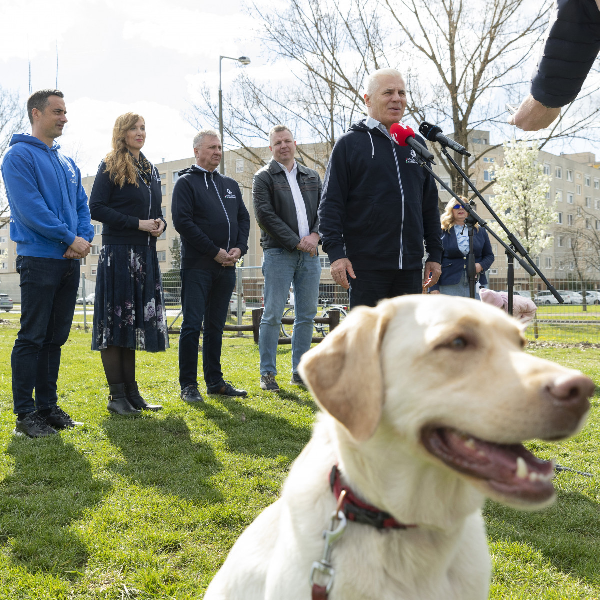 Bemutatták Nyíregyháza állatbarát célú projektjét