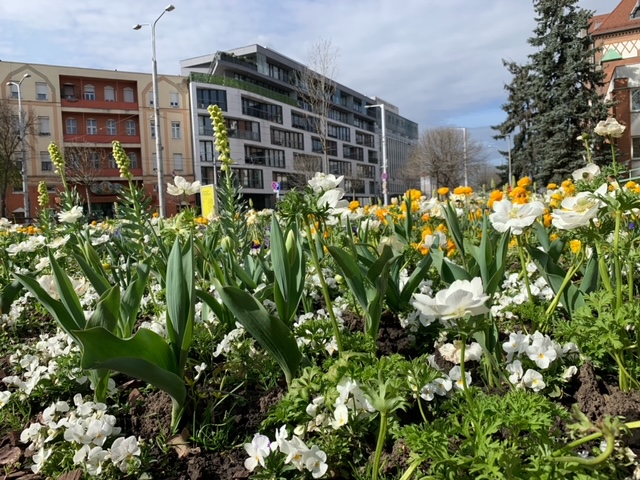 Virágos Debrecen