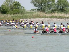 Szeged, Evezős EB, Maty-ér, Európa bajnokság, verseny, sport, Egyetemek Regattája, regatta, evezés