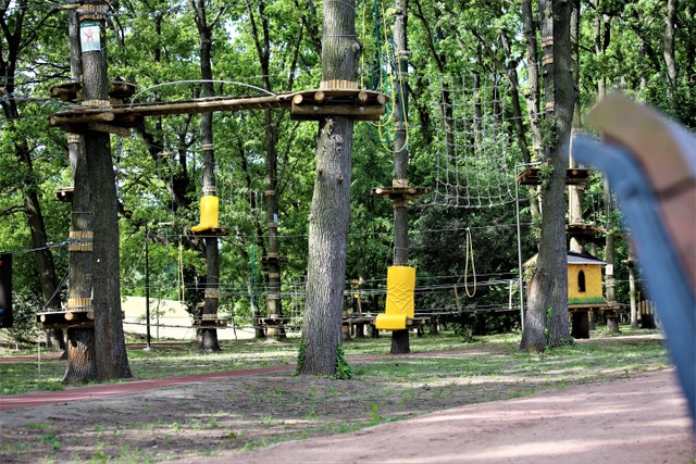 Szolnok. Kalandpark. Bántalmazás.